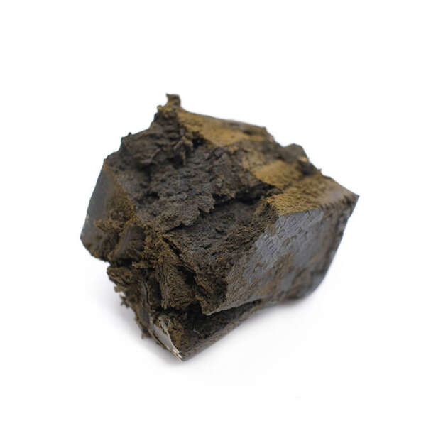 Buddha Hash is sourced locally here in Canada. Producers use the resin collected from the actual Laughing Buddha strain, thereby making this hash exotic in its own right. The original Laughing Buddha strain has been said to deliver some of the most dream like cerebral experiences to stoners. In order to keep the spicy and earthy notes in the original sativa plant, extractors must freeze off the trichomes from the fresh plant before collecting and pressing them. The processing time for a kilogram of Buddha Hash can take up to 100 hours. This is because local producers still prefer to use their hands for most of the resin collection process. This technique originates from hashish producers in Morocco and the Middle East.