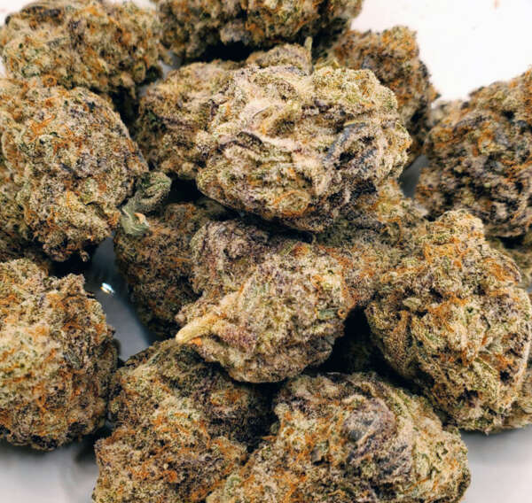 Wedding Cake, also known as Pink Cookies, is an indica-dominant hybrid resulting from crossing Triangle Kush with Animal Mints. It's celebrated for its incredibly sweet aroma and fruity flavor, resembling a blend of cookie sweetness and cherry pie fruitiness. This strain serves as a calming agent and appetite stimulator, beneficial for patients dealing with depression, fibromyalgia, MS, and similar conditions. While it can have sedative effects, it's known for calming nerves and alleviating anxiety without significantly impacting focus and energy. Common side effects include dry eyes and mouth. Wedding Cake is typically grown indoors and features a THC content of 25-27%. It boasts a dense, pine tree-like appearance, frosty with dark green leaves and adorned with thick orange hair, known for its sugary taste and high potency.