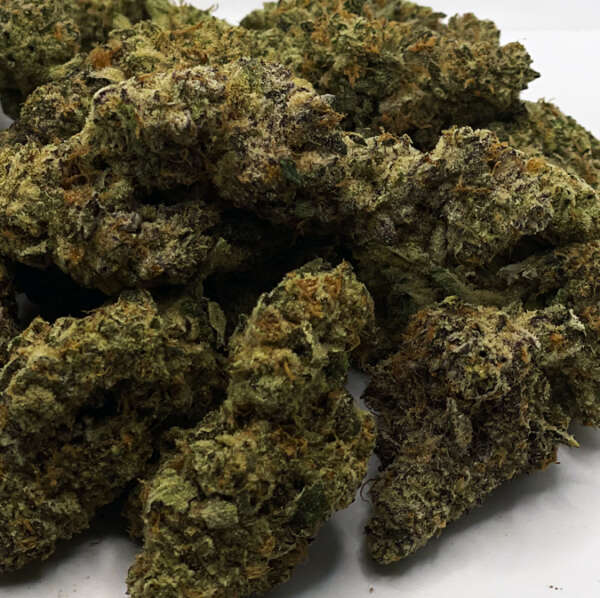 Gascotti is a rare indica dominant hybrid strain (70% indica/30% sativa) created through crossing the classic Biscotti X Greasy Pink, Which is a heavy indica! Named for its super heavy stench and celebrity parentage, Gascotti is a great choice for any classic indica lover. Like its name suggests, Gascotti packs a heavy gassy aroma with hints of spicy diesel, earthy herbs and nuttiness, intensifying the more that you toke. The flavor is on the lighter side of things, with a sweet and sugary nutty flavor accented by touches of spicy diesel and earth upon exhale. The Gascotti high hits you almost as soon as you exhale, filling your brain with a lifted sense of happiness and calm. This happiness is accompanied by a slightly heady tingle that immediately numbs the brain, leaving you out of focus and totally happy about it. This tingle will soon spread its way throughout your entire body, leaving you feeling totally relaxed and at ease, without a care in the world. In combination with its high 11-25% average THC level, these sleepy effects make Gascotti a great choice for treating depression, chronic stress, mood swings, chronic pain and appetite loss or nausea. This bud has oversized and airy spade-shaped forest green nugs with emerald undertones, thin orange hairs and a coating of tiny white crystal trichomes