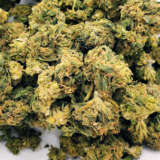 Blueberry is an indica dominant hybrid (80% indica/20% sativa) strain with unknown true parentage. This bud has been traced back to the early 70’s when the infamous American breeder DJ Short started playing around with different landrace strains, ultimately resulting in this insanely delicious variety. It is thought to be descended from Purple Thai X Afghan, but we will never know for sure. Nonetheless, Blueberry is one of the most popular strains on the market and took home the 2000 Best Indica award at the High Times’ Cannabis Cup thanks to its high-powered effects and mouthwatering blueberry vanilla flavor. The Blueberry high has a euphoric and hazy feel to it that creeps up on you slowly before washing over you with a sense of calm and ease. As this high grows, your mind will fall into a state of hazy introspection that immediately erases any negative or racing thoughts and numbs the brain. With these relaxing effects and its high 16-24% average THC level, Blueberry is said to be perfect for treating conditions such as chronic fatigue, depression, migraines, and chronic stress or anxiety. This bud has grape-shaped olive green nugs with bright blue undertones, fiery orange hairs, and a frosty thick coating of tiny amber colored crystal trichomes. It has a smell much like the taste, with a spicy yet sweet earthy vanilla effect that’s accented by fragrant florals.