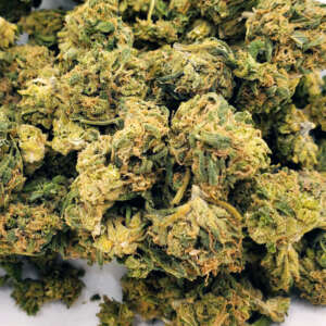 Blueberry is an indica dominant hybrid (80% indica/20% sativa) strain with unknown true parentage. This bud has been traced back to the early 70’s when the infamous American breeder DJ Short started playing around with different landrace strains, ultimately resulting in this insanely delicious variety. It is thought to be descended from Purple Thai X Afghan, but we will never know for sure. Nonetheless, Blueberry is one of the most popular strains on the market and took home the 2000 Best Indica award at the High Times’ Cannabis Cup thanks to its high-powered effects and mouthwatering blueberry vanilla flavor. The Blueberry high has a euphoric and hazy feel to it that creeps up on you slowly before washing over you with a sense of calm and ease. As this high grows, your mind will fall into a state of hazy introspection that immediately erases any negative or racing thoughts and numbs the brain. With these relaxing effects and its high 16-24% average THC level, Blueberry is said to be perfect for treating conditions such as chronic fatigue, depression, migraines, and chronic stress or anxiety. This bud has grape-shaped olive green nugs with bright blue undertones, fiery orange hairs, and a frosty thick coating of tiny amber colored crystal trichomes. It has a smell much like the taste, with a spicy yet sweet earthy vanilla effect that’s accented by fragrant florals.