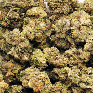 Imperium X is one of the strongest strains in the world, combining outstanding traits like no other cannabis strain before. She is based on three extremely THC-rich cannabis strains: the rare City of God, The White Angel and our overwhelmingly potent Future #1. The 3-way cross has resulted in a strain that exceeds all expectations and pushes the boundaries of what is possible. Imperium X can reach THC levels of 36% and more in the upper range, and her powerful, deep and far-reaching effects cannot be explained by the cannabinoid THC alone. We assume that the strain also has a relatively high THCP value. It makes you fly higher than any other strain and is a whole universe of positive, euphoric, stimulating, sensory-expanding and narcotic effects that rolls over your mind and body like a massive energy-filled roller. The effects last endlessly, are out of this world and include, both intense relaxing components and euphoric effects that send you into a real frenzy of creativity and give you a powerful energy boost. Users with a high tolerance will find it an exceptionally intense experience, and inexperienced users can quickly and easily underestimate it with only a small dosage. Once it is dosed a little too high (and this happens very easily), it can easily tie you to the couch for hours and beam you away completely. The strain is the epitome and the ultimate in cannabis effects. So complexly versatile and intense that we could write pages and pages about it, but some things can’t be described, they can only be felt.
