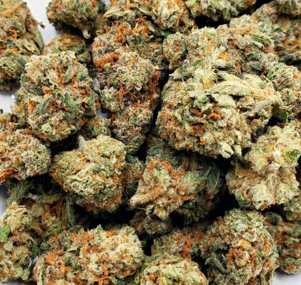 Purple Papaya Runtz is a slightly indica dominant hybrid cannabis strain (60% indica/40% sativa) resulting from a blend of Texeda Timewarp, Pinewarp, A3, and Ancestral Indica strains. This potent combination produces a bud with a rich, tantalizing flavor profile, dominated by sweet and fruity tropical berry notes, complemented by sour citrus and a strong papaya taste. Its aroma mirrors these flavors but is spicier and more intense, with a peppery edge that grows as you continue to smoke.