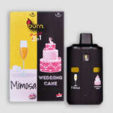 Burn Lifestyle Co. | Dual Chamber Disposable Vape (4G) - Image 2