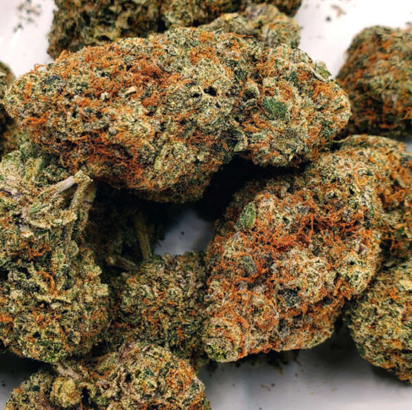 24K Gold (AAAA) 24K," also known as "24K Gold" or "Kosher Tangie," is a slightly indica-dominant hybrid strain (60% indica/40% sativa) resulting from crossing Kosher Kush and Tangie strains. It's renowned for its uplifting flavor, combining bright citrus with a sugary exhale that intensifies with each puff. The aroma is predominantly citrusy but turns sour and skunky when the buds are burned. The appearance of 24K is striking, with thick, frosty buds that have purple undertones, golden orange hairs, and a coating of amber trichomes. The high is equally impressive, offering a blend of mental uplift and physical relaxation, ideal for unwinding. It's beneficial for treating conditions like chronic pain, arthritis, Bipolar Disorder, fatigue, and inflammation, with an average THC level of 18-24%.