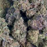 "Apricot Cookies" is an indica dominant hybrid cannabis strain (70% indica/30% sativa) created by crossing Headwrecker with Legend Orange Apricot strains. It's particularly appealing to those who appreciate the potent effects of indica combined with a delightful taste. The high from Apricot Cookies begins gradually, affecting both the mind and body. Initially, there's a light tingling sensation that intensifies, causing a heaviness in the limbs and a drooping feeling in the head and eyes. As the effects progress, users experience an uplift in mood, sinking further into a heavy, heady state that eventually leads to a blissful, sedative oblivion. This makes Apricot Cookies a suitable choice for treating conditions such as spasticity, insomnia, appetite loss or nausea, depression, and chronic stress, thanks in part to its high THC levels of about 19-20%