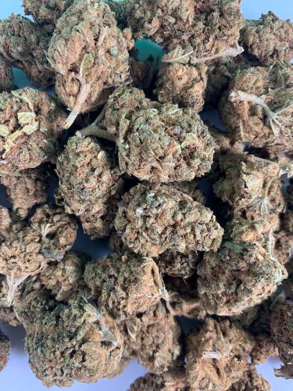 durban poison sativa hybrid flower