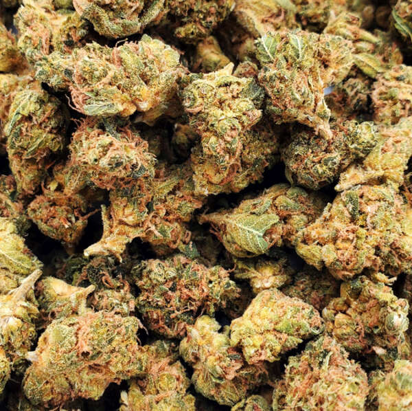 Ghost Gelato (AAA-) - Image 1