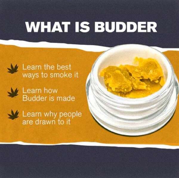 Mamba Venom  Budder Wax - Image 2