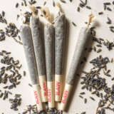 Pre-Rolled Joints 1g - 5 Cones/Pack