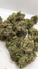 El Chapo OG (AAAA)