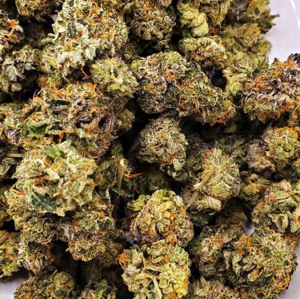 tommy.jpg Tom Ford Pink Kush Smalls (AAAA) - Image 1