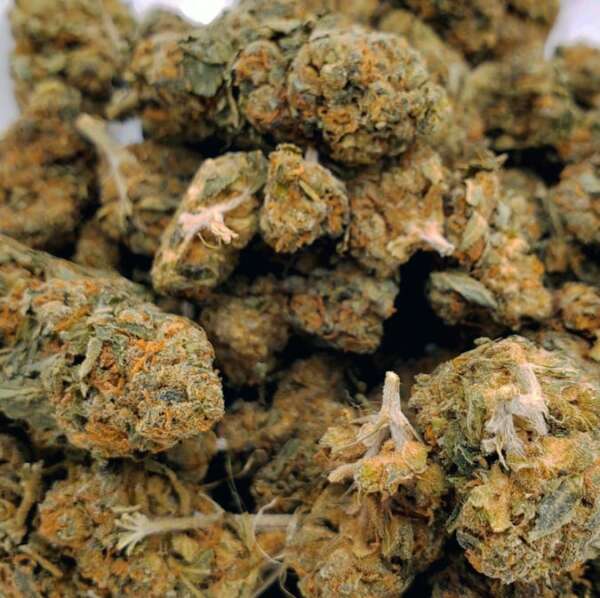 rockbud.jpg Rock Bud (AA+) - Image 1