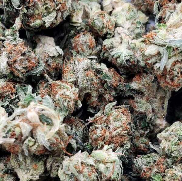 Alien OG (AAA) - Image 1