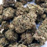 Island Sweet Skunk (AAA-)
