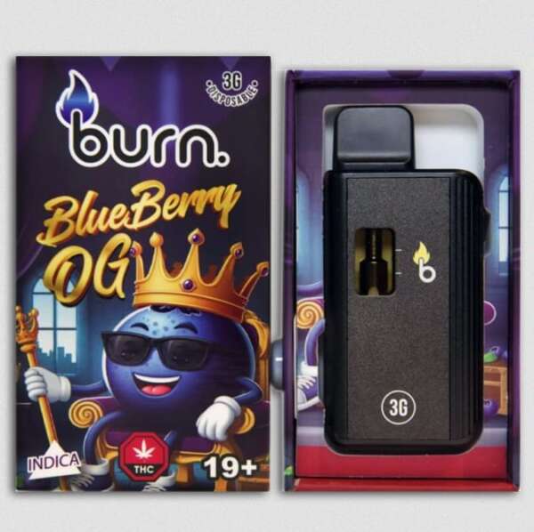 Burn Lifestyle Co. | Disposable Vape (3G) - Image 16