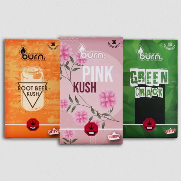 burn-co Burn Lifestyle Co. | Disposable Vape (3G) - Image 1