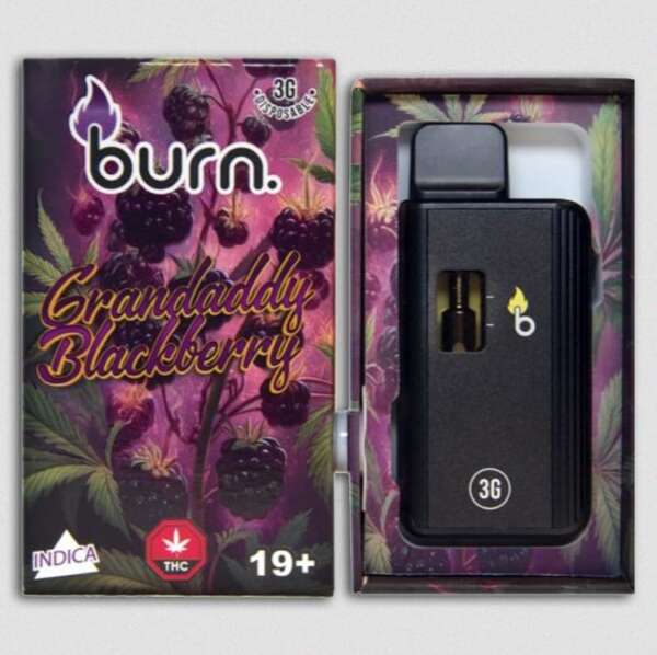 Burn Lifestyle Co. | Disposable Vape (3G) - Image 12