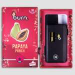 Burn Lifestyle Co. | Disposable Vape (3G) - Image 13