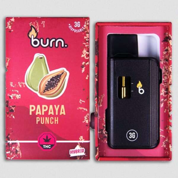 Burn Lifestyle Co. | Disposable Vape (3G) - Image 13