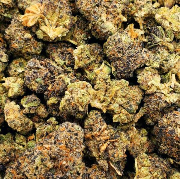 Peanut Butter Mac is a hybrid cannabis strain notable for its lack of specific lineage details, including its parent strains and sativa/indica ratio. Despite this, it is recognized for its enjoyable flavors and potential effects. The strain typically has a THC content ranging from 20% to 25%, classifying it as potent and more suitable for experienced users. Its effects are often described as relaxing, euphoric, and creative, enhancing mood and fostering calm and inspiration. It's commonly used by medical marijuana patients to manage symptoms related to chronic pain, depression, and appetite loss, providing both physical comfort and mental well-being. The flavor profile of Peanut Butter Mac includes nutty, sweet, and earthy notes, likely due to a blend of dominant terpenes. This strain's potent effects and pleasant taste make it popular among cannabis enthusiasts.