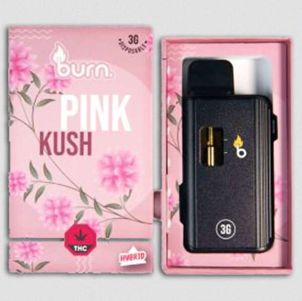 Burn Lifestyle Co. | Disposable Vape (3G) - Image 6