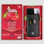 Burn Lifestyle Co. | Disposable Vape (3G) - Image 4