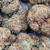 Modified Grapes (AAAA+) LSO