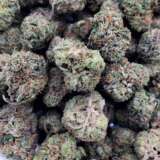 Biker's Pink (Smalls) (AAAA+)