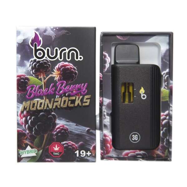 Burn Lifestyle Co. | Disposable Vape (3G) - Image 19