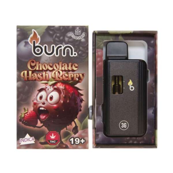 Burn Lifestyle Co. | Disposable Vape (3G) - Image 23