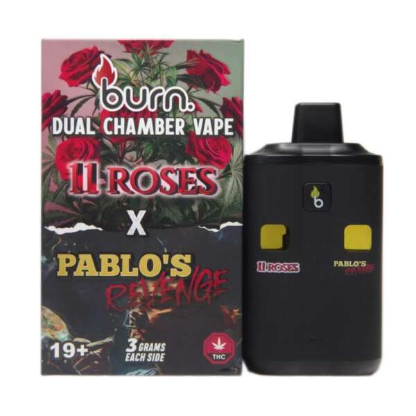 Burn Co. | Dual Chamber Disposable Vapes (6G) - Image 13