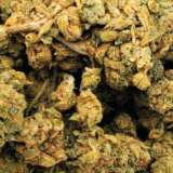 Apricot Kush (AAA)