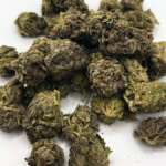 Mix & Match Your Perfect Deal | 4 Ounces for $240! - Image 7