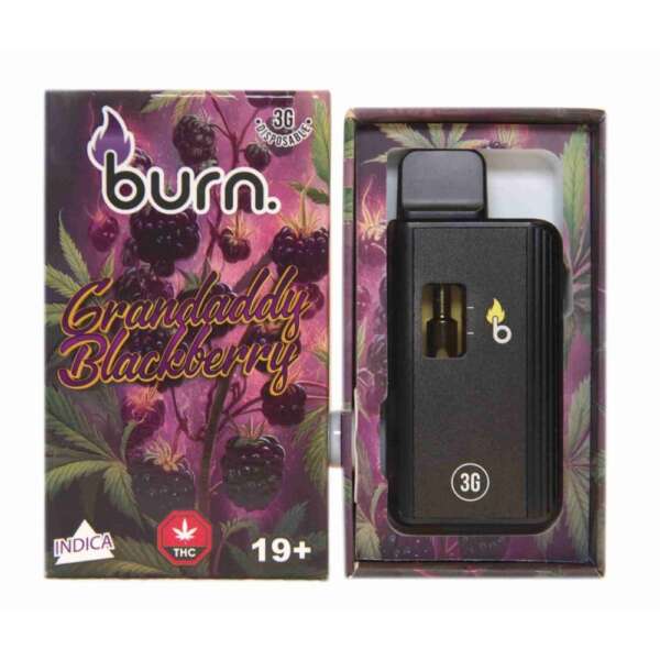 Burn Lifestyle Co. | Disposable Vape (3G) - Image 25