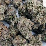 Cheese Quake	(AAAA+)
