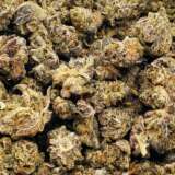 Relish the savory, earthy notes of White Truffle, gently underscored by a subtle skunky backdrop. Ideal for unwinding after a demanding day or setting the tone for a restful evening, this strain is a top choice for those seeking solace from stress and fatigue. Admire its aesthetic allure, with glistening white trichomes and contrasting dark brown tendrils. Hailing from Fresh Coast Genetics in Michigan, White Truffle holds its own unique charm. It's worth noting that Parabellum Genetics also offers a strain by the same name. Treat yourself to this exquisite blend and immerse in its tranquil allure.