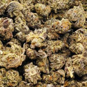 Relish the savory, earthy notes of White Truffle, gently underscored by a subtle skunky backdrop. Ideal for unwinding after a demanding day or setting the tone for a restful evening, this strain is a top choice for those seeking solace from stress and fatigue. Admire its aesthetic allure, with glistening white trichomes and contrasting dark brown tendrils. Hailing from Fresh Coast Genetics in Michigan, White Truffle holds its own unique charm. It's worth noting that Parabellum Genetics also offers a strain by the same name. Treat yourself to this exquisite blend and immerse in its tranquil allure.