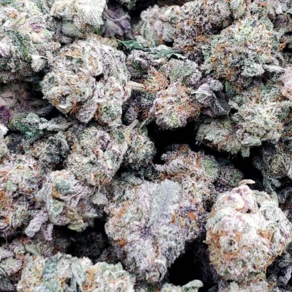 Black Magic Kush (smalls) (AAA+) - Image 1