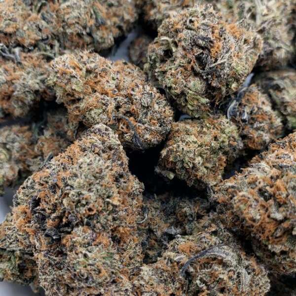 Skunk #1 (AAA+) - Image 1