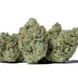 Gorilla Glue (AAAA)