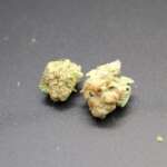 Modified Grape LSO Smalls (AAAA+) - Image 2