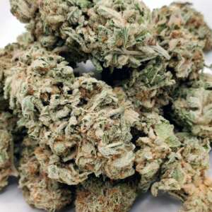 Park Fire OG, an indica-dominant hybrid descending from OG Kush and SFG OG, boasts a striking appearance with forest-green leaves, purple tinges, fiery red pistils, and a silver kief coating. Contrary to its fiery look, it offers a sweet and skunky flavor with a citrusy, sour candy aroma. This strain has an intense THC content of 30-35%, leading to a potent high that starts with a euphoric head buzz and transitions into a deep body relaxation. Ideal for experienced users, it's effective for insomnia, anxiety, and stress, but beginners should approach with caution due to its powerful effects.