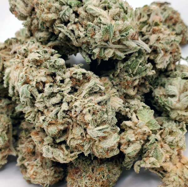 pink-fire.jpg Park Fire OG, an indica-dominant hybrid descending from OG Kush and SFG OG, boasts a striking appearance with forest-green leaves, purple tinges, fiery red pistils, and a silver kief coating. Contrary to its fiery look, it offers a sweet and skunky flavor with a citrusy, sour candy aroma. This strain has an intense THC content of 30-35%, leading to a potent high that starts with a euphoric head buzz and transitions into a deep body relaxation. Ideal for experienced users, it's effective for insomnia, anxiety, and stress, but beginners should approach with caution due to its powerful effects.