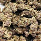 Chemdawg, or Chemdog, is a balanced strain with a 45/55 sativa to indica ratio, offering both cerebral stimulation and physical relaxation. It boosts creativity and helps with insomnia while relaxing muscles. With THC levels reaching 19%, it's relatively potent, characterized by a strong spicy, plant-like taste and diesel undertone that might give away its presence. It's notably used to create the famous Sour Diesel strain. Despite its popularity, Chemdawg's origins remain mysterious, with rumors linking it to a Grateful Dead concert and a grower named Chemdog. It's effective for anxiety, pain, depression, ADHD, migraines, arthritis, and PMS, although it may cause dry mouth and eyes. Primarily found on the West Coast, in Nevada, and Colorado, it's occasionally available on the black market, albeit rarely.