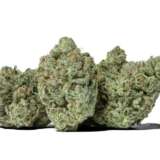 Gorilla Glue (AAAA)