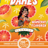 Dames Gummy Co. | Assorted Infused THC Edibles (200mg) - 15 Flavours - Image 4