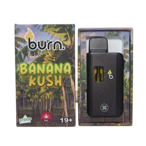 Burn Lifestyle Co. | Disposable Vape (3G) – Image 18