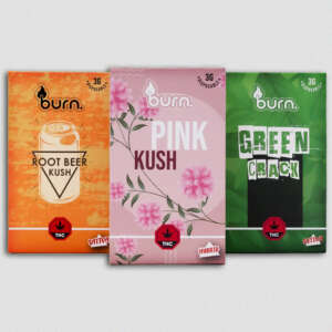 Burn Lifestyle Co. | Disposable Vape (3G)
