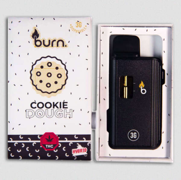 Burn Lifestyle Co. | Disposable Vape (3G) – Image 2